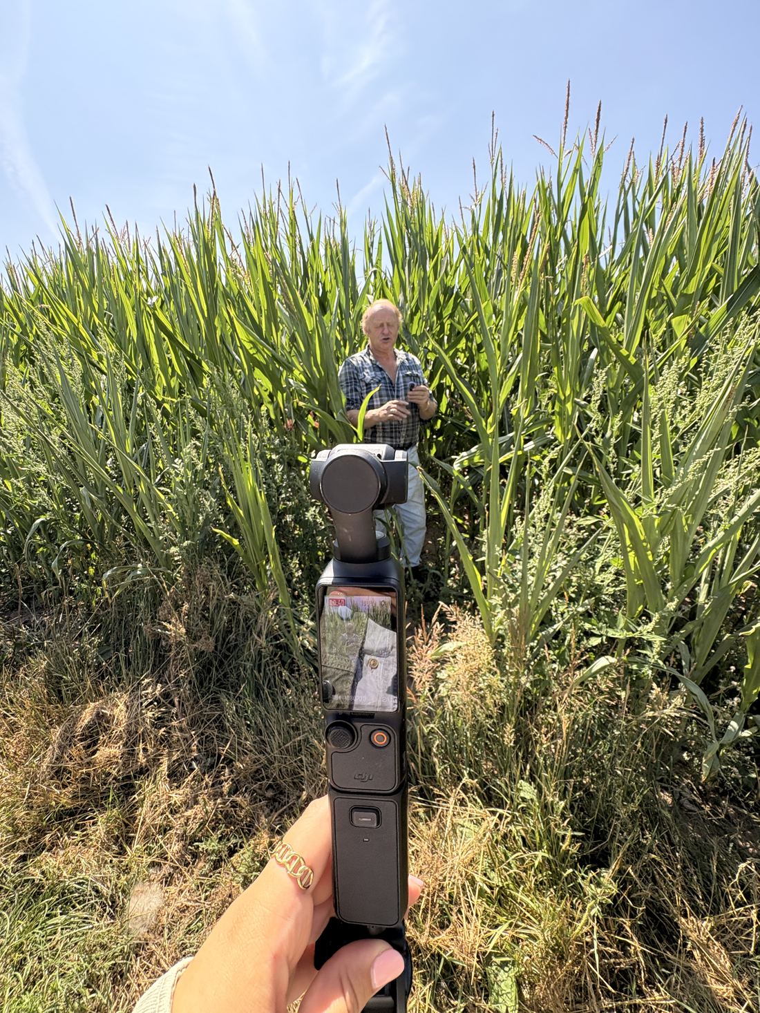 Filming a farmer in a cornfield